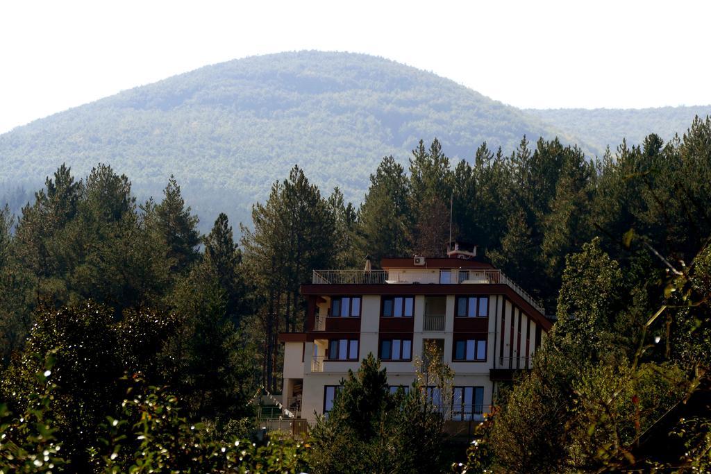 Mala Planina Guest House Iskrets Ngoại thất bức ảnh